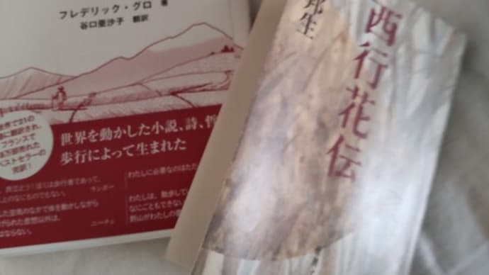 国内品だって高いとのコメント&読みたいのに読めない本