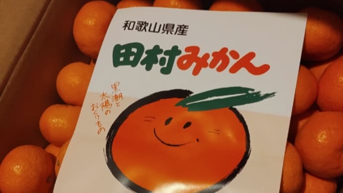ミカン🍊 和歌山から