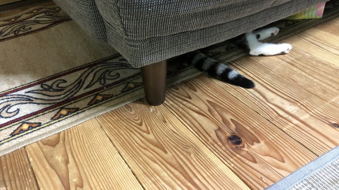 隠れるなつ