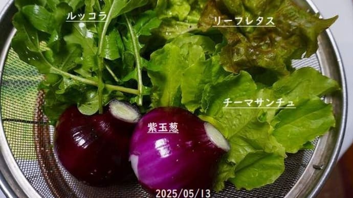 畑の恵み