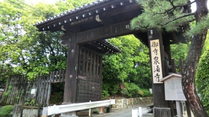 京都　青モミジ100シリーズの東山三十六峰の泉涌寺 