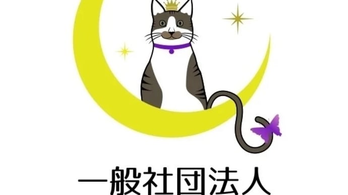 認定講座のご案内✨