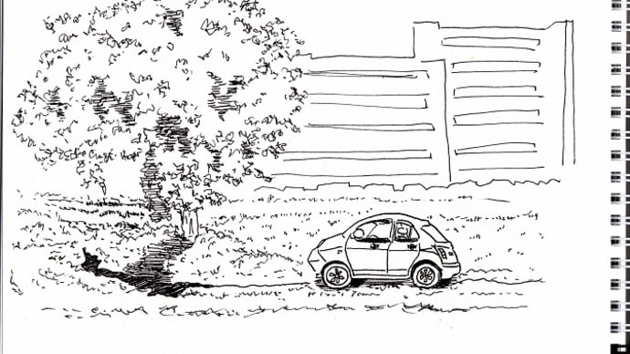 車と樹