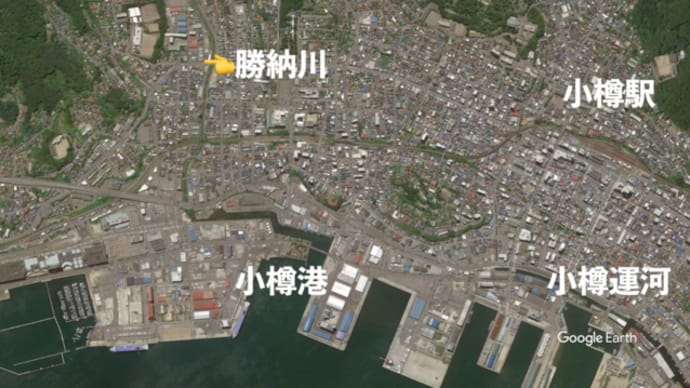 ほいとぼのブラ街歩き:小樽の勝納川に鮭の産卵を見に行く!(後編)