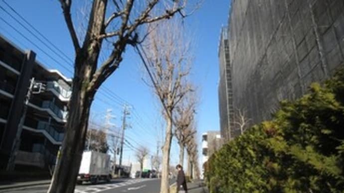 2/26 あおば皮ふ科