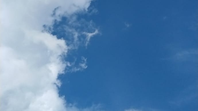 今週も始まりました