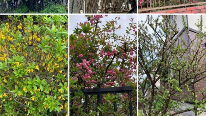 春は樹木や草花など多くの花々が咲き誇る季節 花後の手入れ怠りなく