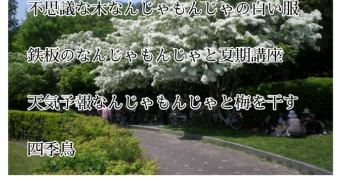 なんじゃもんじゃを使って