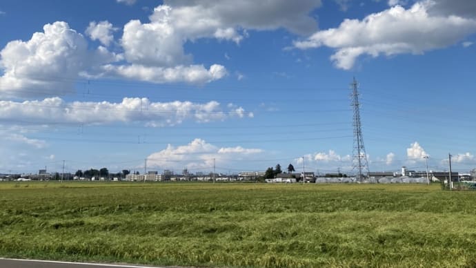 8月28日 仙台で36.8℃
