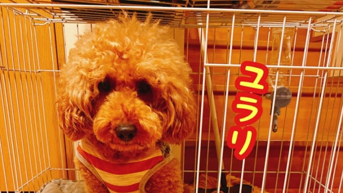 その技は!?