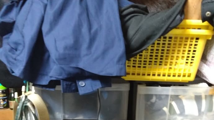 ショックだったこと