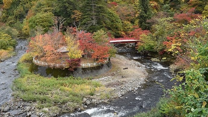 中野もみじ山の紅葉