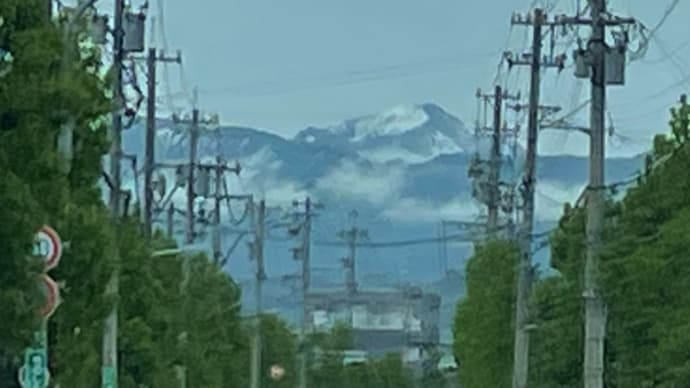 自滅するならすればいいんだけど・・・・