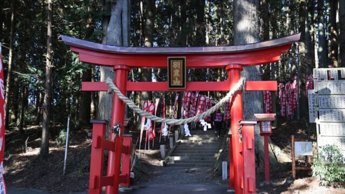 羽黒山のロウバイと山歩き