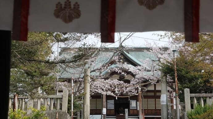 玉井宮東照宮の桜