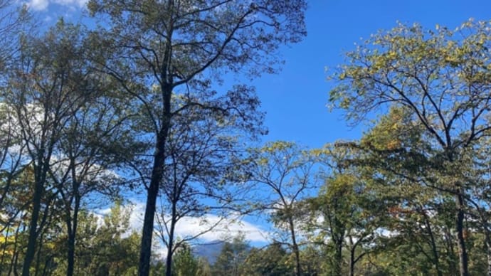 秋日和
