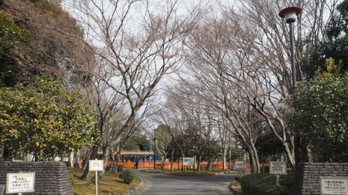 宇都宮市にポケモンマンホールが新登場♪ &初めての栗谷沢ダム♪