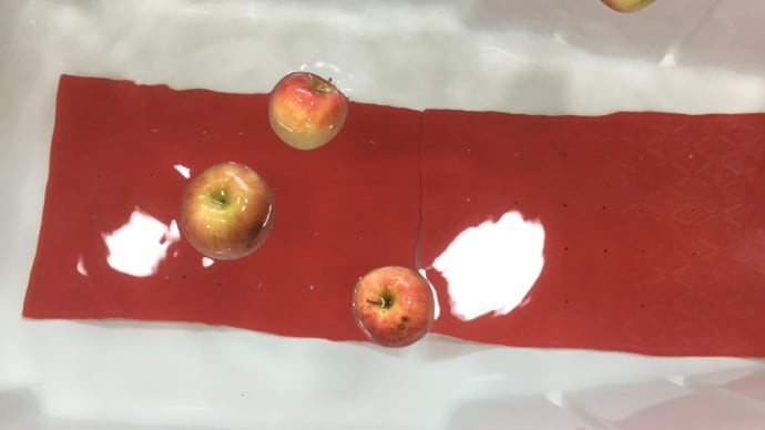 私は真っ赤な。。。🍎✨