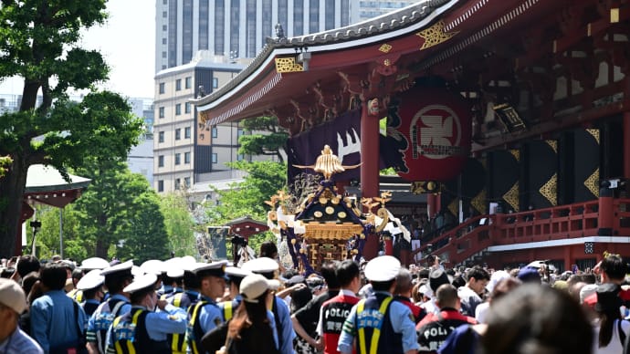 ◆町会神輿連合渡御(浅草神社/台東区)