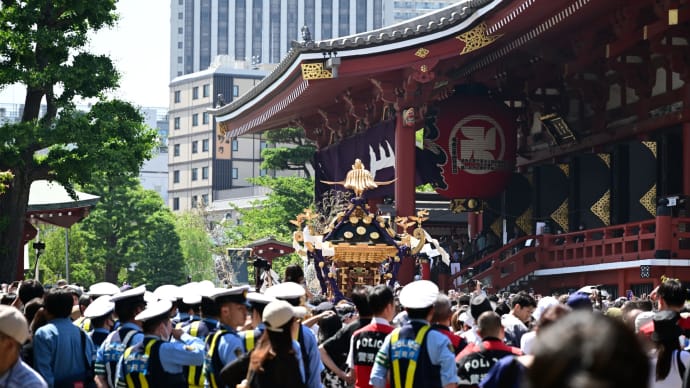 ◆町会神輿連合渡御（浅草神社/台東区）