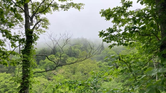 神居尻山 947m 2022/6/14
