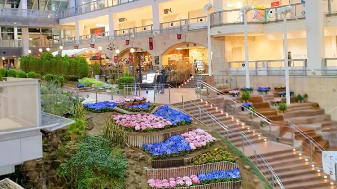 お花で一休み(161)とても勇ましい名前だけど、可憐な花