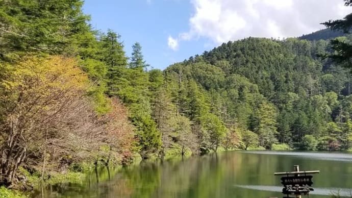 双子池ヒュッテ 2021.8.30 紅葉の始まり&双子池の様子と気温