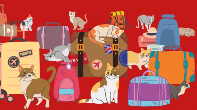  マレーシア→日本:猫の引越　輸出許可証到着