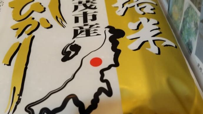 仲間入り