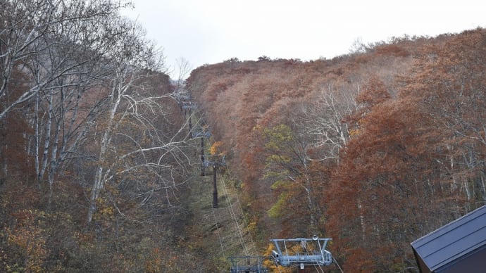 もみじ狩り 新潟県妙高山周辺 妙高山山麓線【4】-(4)妙高高原スカイケーブル リフトは21本?
