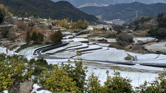 氷瀑の白猪の滝