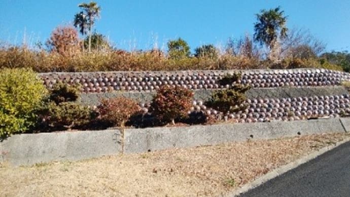 小野田へ初吟行で~す!