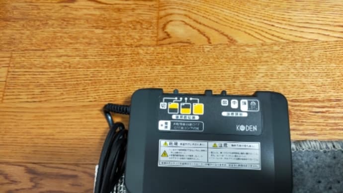 電気カーペットを買いました