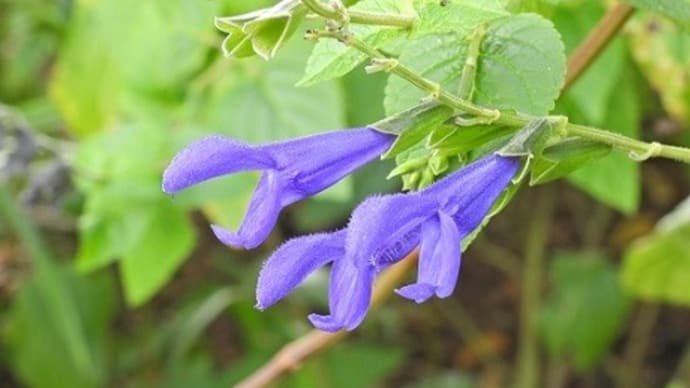 病院の待合室で・・