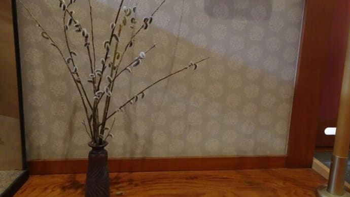 春のお花♪