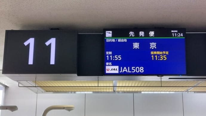 世界一周航空券(中断地点までのフライト1回目)札幌から羽田へ