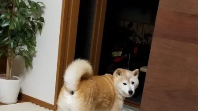 クリンへの想いは尽きなくて・・・19
