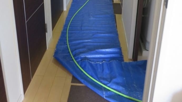 年に一度の排水管清掃