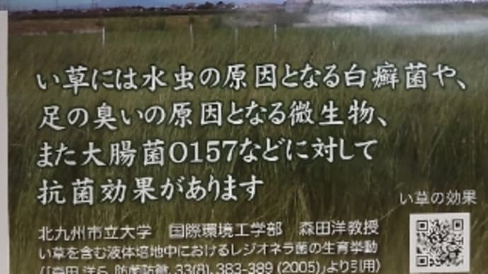 抗菌効果