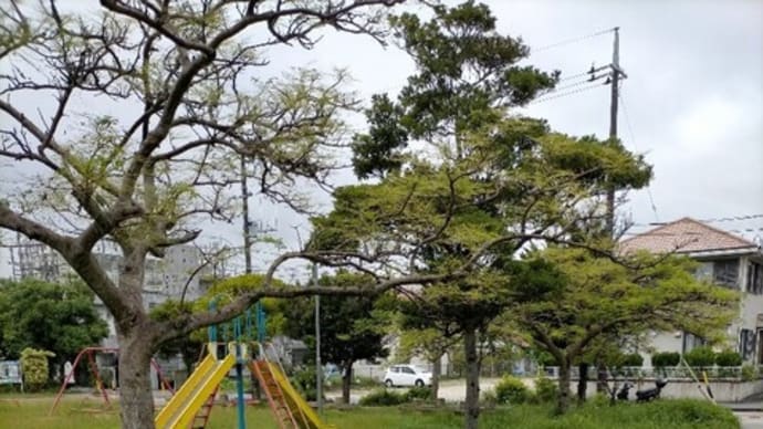天久プリン山公園