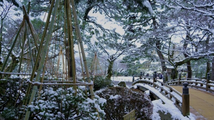 ●雪の兼六園（2）　花見橋　曲水　雁行橋　七福神山　瓢池　翠滝　海石塔　カワセミ
