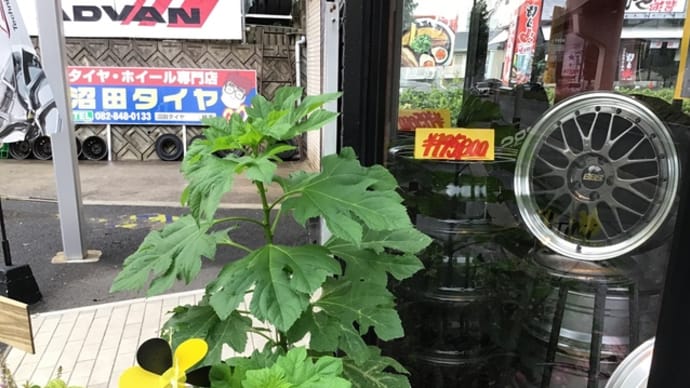 ゴールデンガリバー