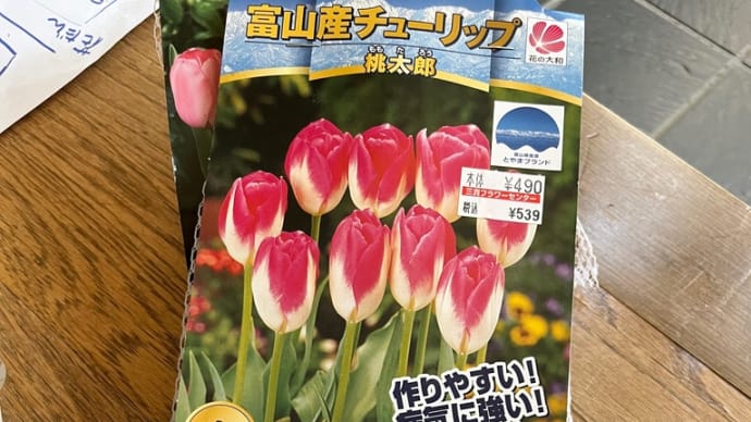 懲りもせずーーー プラス4球で29球になりました チューリップマジック!