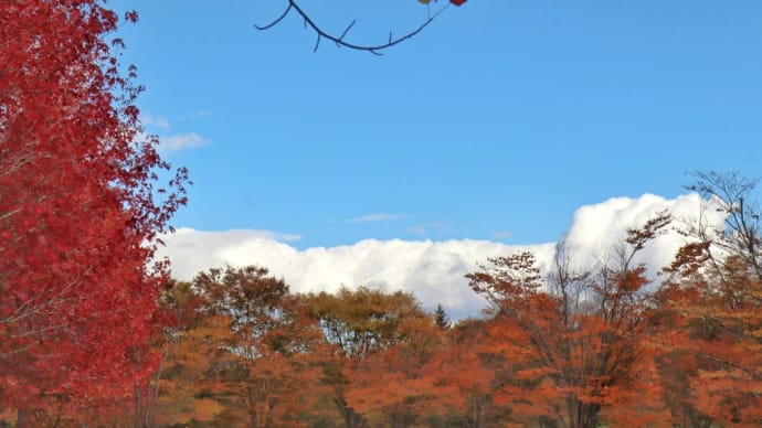 秋晴れの「みちのく公園」