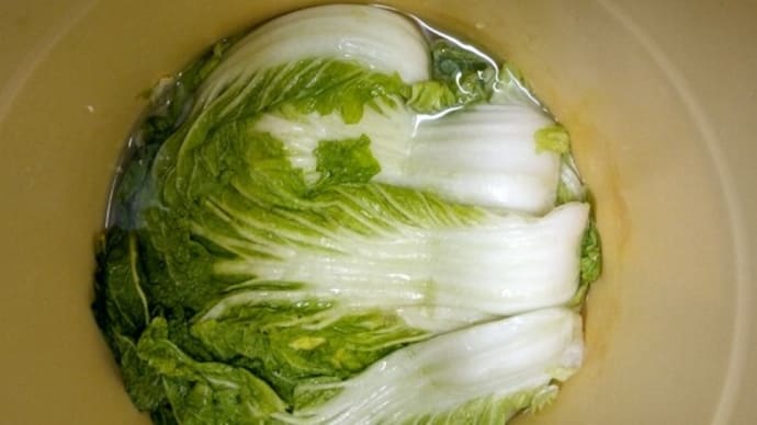 白菜の漬物