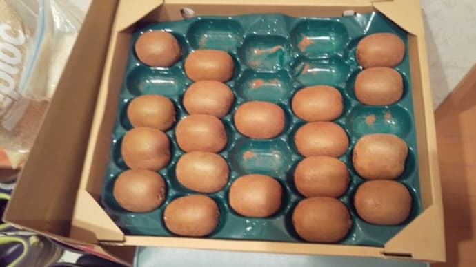 ふるさと納税返礼品のキウイ3kg
