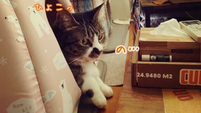 それがお出迎えか!