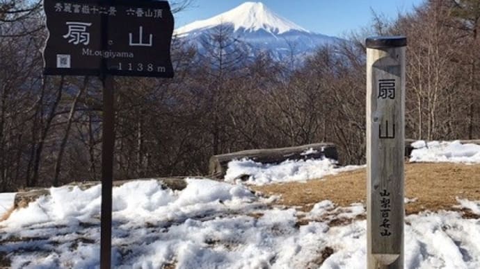 扇山でスノートレッキングを楽しんだ