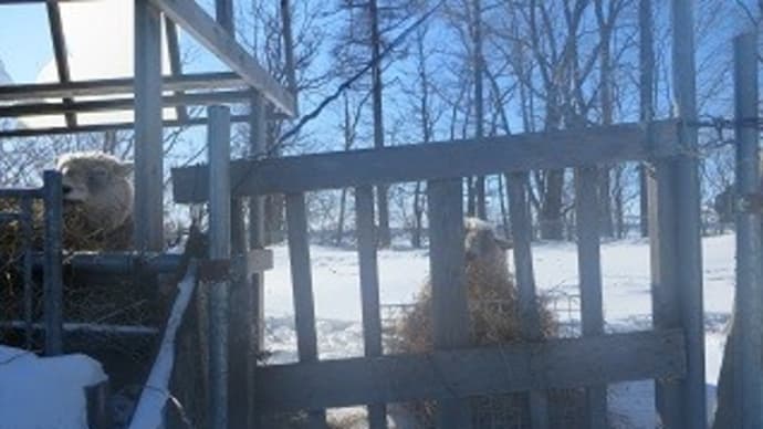 手も足もズブズブと沈んだ出来事