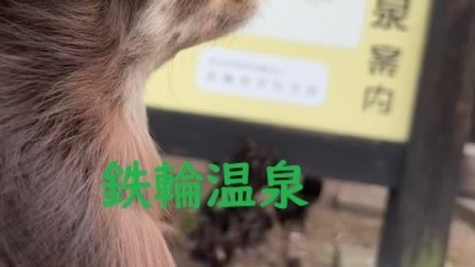 連休~2回